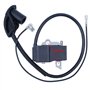 Adefol Carburateur et Bobine d'allumage pour Stihl FS120 FS200 FS250 FS300 FS350 Debroussailleuse, Carburateur + Module de Bobin