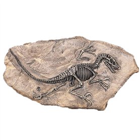 VOANZO Statue de fossile de dinosaure en résine - Modèle de squelette simulé - Décoration pour la maison ou le bureau