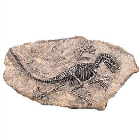 VOANZO Statue de fossile de dinosaure en résine - Modèle de squelette simulé - Décoration pour la maison ou le bureau