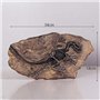 VOANZO Statue de fossile de dinosaure en résine - Modèle de squelette simulé - Décoration pour la maison ou le bureau