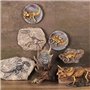VOANZO Statue de fossile de dinosaure en résine - Modèle de squelette simulé - Décoration pour la maison ou le bureau