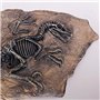 VOANZO Statue de fossile de dinosaure en résine - Modèle de squelette simulé - Décoration pour la maison ou le bureau
