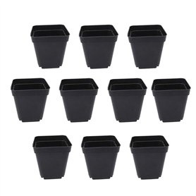 50 PCS carrés de Plants Pots de Plantes succulentes en Plastique Panier de Plantes de Fleurs pour Jardin 6x6x6.5cm (Noir)