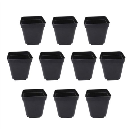 50 PCS carrés de Plants Pots de Plantes succulentes en Plastique Panier de Plantes de Fleurs pour Jardin 6x6x6.5cm (Noir)