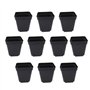 50 PCS carrés de Plants Pots de Plantes succulentes en Plastique Panier de Plantes de Fleurs pour Jardin 6x6x6.5cm (Noir)