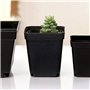 50 PCS carrés de Plants Pots de Plantes succulentes en Plastique Panier de Plantes de Fleurs pour Jardin 6x6x6.5cm (Noir)