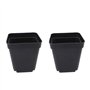 50 PCS carrés de Plants Pots de Plantes succulentes en Plastique Panier de Plantes de Fleurs pour Jardin 6x6x6.5cm (Noir)
