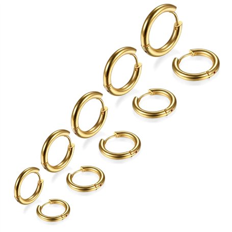 LIUJZZJ 5 Paires Boucles d'Oreilles Créoles en Acier Inoxydable Boucles d'Oreilles Cercles Cartilage Anneaux de Nez Lèvres 8/10/