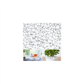 Gravier Galets Pierres Petits Cailloux de Marbre Blanc Naturels Cailloux Décoratifs Blancs pour Aquarium Décorations de Jardin P