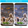 Mousse Filtre Bassin Aquarium Éponge Filtre pour Bassin Éponge Filtrante Bioch