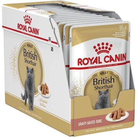 Royal Canin Canin British Shorthair Cat Food - Paquet 12 x 85 GR - Total: 1020 GR
