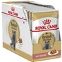 Royal Canin Canin British Shorthair Cat Food - Paquet 12 x 85 GR - Total: 1020 GR