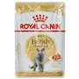 Royal Canin Canin British Shorthair Cat Food - Paquet 12 x 85 GR - Total: 1020 GR