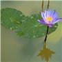 Molain Lot de 8 feuilles de lotus artificielles flottantes en mousse pour maison, jardin, étangs, piscine, aquarium, décoration 