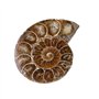 pierres naturelles et minéraux avec histoire ancienne