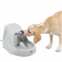 PetSafe Fontaine à Eau en Cascade Drinkwell Platinum 5 L pour Chien et Chat