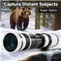 JINTU 500-1000mm f/8 Téléobjectif Lentille pour Canon EF/EF-S pour Canon EOS 2000D 4000D 1100D 1000D 400D 450D 500D 550D 650D 70