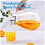 4 Litres Carafe Verre avec Couvercle