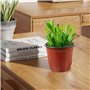 Lot de 50 Pots de en Plastique Pots de Fleurs Pots de Plantes Plastique De Plantes À Fleurs Graine De Démarrage Pot (Diamètre 12