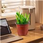 Lot de 50 Pots de en Plastique Pots de Fleurs Pots de Plantes Plastique De Plantes À Fleurs Graine De Démarrage Pot (Diamètre 12