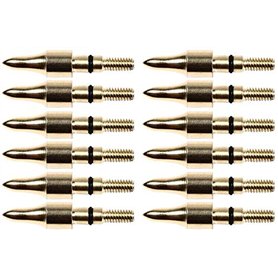 Namvo 12pcs 100grn Vis Noire dans la Pratique Pointes de flèches