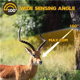 Coolife 28MP 1520P HD Caméra de Chasse Vitesse de Déclenchement 0.2s et 27 pcs Infrarouges LED de 940nm, Camera de Chasse Noctur
