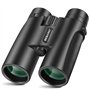 BEBANG Jumelles pour Adultes Puissante 10x42 Jumelles Bak4 Prism