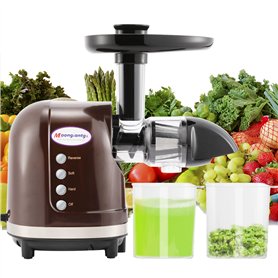 Moongiantgo Extracteur de jus de fruits à mastication lente avec 2 modes de vitesse