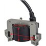 OxoxO Module de Bobine D'allumage compatible avec Honda GCV135 GCV160 GCV190 GSV160