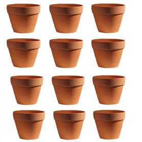 Molyorch 12 pièces Pot en Terre Cuite de Succulent Cactus