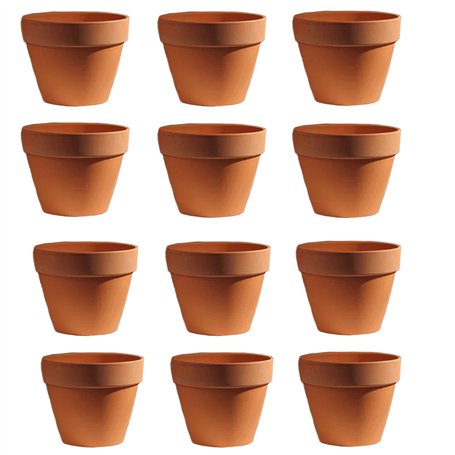 Molyorch 12 pièces Pot en Terre Cuite de Succulent Cactus