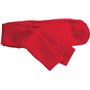 Twin City Adulte/Jeunesse Multi-Sport Chaussettes de tube, mixte, Voiture