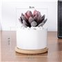 Fippy 6 pièces Petit Pot de Fleurs en Céramique Blanc Pot Succulentes Pot en Plantes Céramique Parfait pour Le Décor de Balcon d