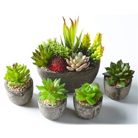 Jobary Ensemble de 5 Pots artificiels Succulents (Comprenant 10 Plantes)