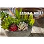 Jobary Ensemble de 5 Pots artificiels Succulents (Comprenant 10 Plantes), Faux Plantes succulentes colorées et décoratives avec 