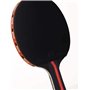PIQIUQIU Ensemble de Raquettes de Tennis de Table avec 2 Raquettes et 3 balles dans Un Sac(Couleur aléatoire)