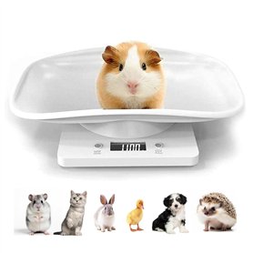 Guangyu Balance Numérique pour Petit Animaux avec écran LCD
