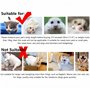 pour Animaux Chats Chiens Cochon d'Inde Hams