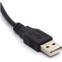 câble répartiteur Caméscope Audio Vidéo AV Composite Extension Code pour Mac PC