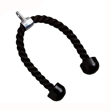 OFKPO Corde Triceps