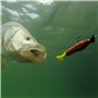 Skyzone Hameçon de Pêche, Lot de 500 Hameçons en Acier Carbone 10 tailles assorties (3#-12#) avec ardillons hameçons mer avec bo