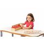 BSM Edufun - Boîte de tri 6 réglettes-Pédagogie Montessori - Jeu Educatif pour Enfant - Apprendre en s'amusant - Développe : cap