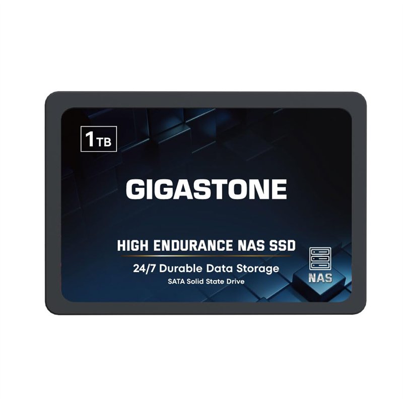 GIGASTONE SSD 1To NAS SSD Disque 24 h/24, 7 j/7 Durable TLC Endurance élevée Raid Synchro sécurisée des données Cache de Stockag