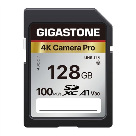Gigastone Carte Mémoire SDXC 128 Go