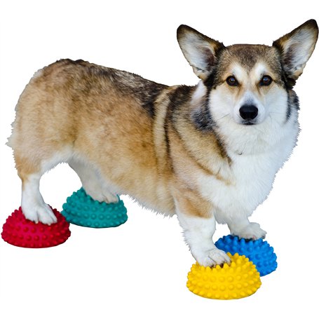 DOG Copenhagen FitPAWS Paw Pods avec Antidérapant pour Chien