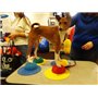 DOG Copenhagen FitPAWS Paw Pods avec Antidérapant pour Chien