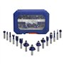 WORKPRO Coffret de 15 Fraises Défonceuses à Tige de 8 mm