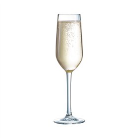 ARCOROC Domaine Lot de 6 flûtes - 16 cl