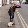 2 poignées conçues pour vous aider a éduquer et promener votre chien