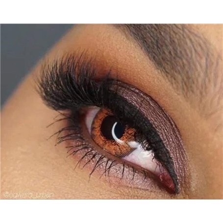 FreshTone Lentilles De Contact De Couleur Honey 3 Ton Kit De Rangement Boitier Pince et applicateur Offert 12 Mois sans correcti